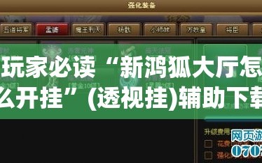 玩家必读“新鸿狐大厅怎么开挂”(透视挂)辅助下载教程