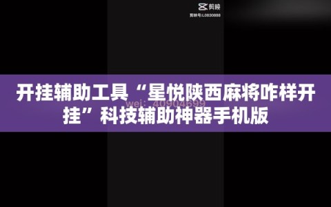 开挂辅助工具“星悦陕西麻将咋样开挂”科技辅助神器手机版