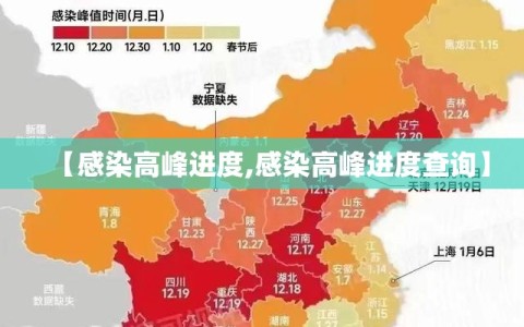 【感染高峰进度,感染高峰进度查询】