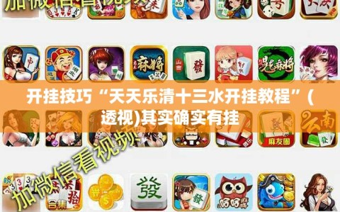 开挂技巧“天天乐清十三水开挂教程”(透视)其实确实有挂