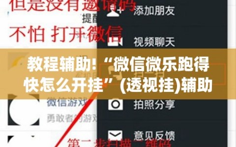 教程辅助!“微信微乐跑得快怎么开挂”(透视挂)辅助下载教程