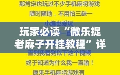 玩家必读“微乐捉老麻子开挂教程”详细分享装挂步骤