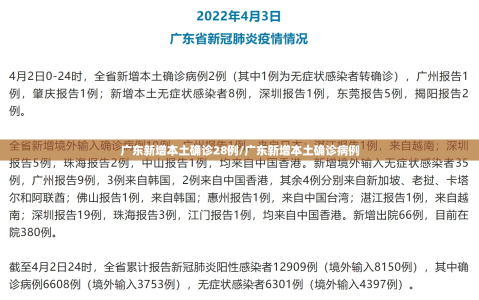 广东新增本土确诊28例/广东新增本土确诊病例