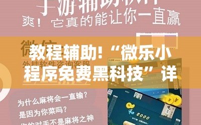教程辅助!“微乐小程序免费黑科技”详细分享装挂步骤