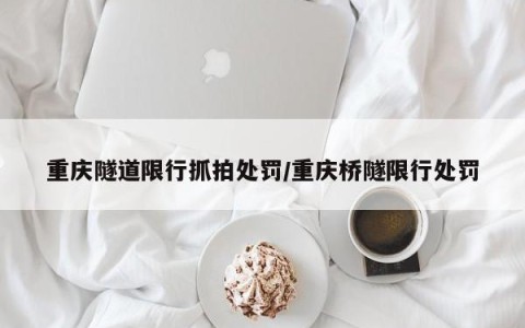 重庆隧道限行抓拍处罚/重庆桥隧限行处罚