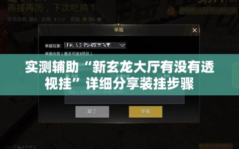 实测辅助“新玄龙大厅有没有透视挂”详细分享装挂步骤