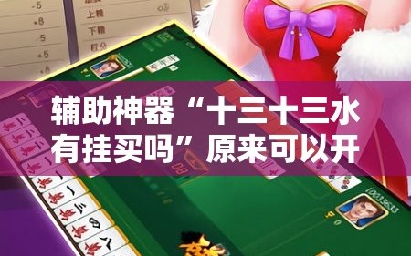辅助神器“十三十三水有挂买吗”原来可以开挂