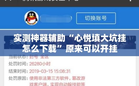 实测神器辅助“心悦填大坑挂怎么下载”原来可以开挂