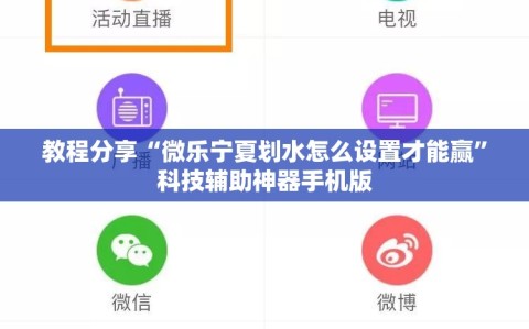教程分享“微乐宁夏划水怎么设置才能赢”科技辅助神器手机版