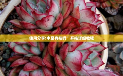 使用分享!中至有挂吗”开挂详细教程
