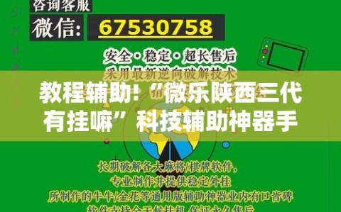 教程辅助!“微乐陕西三代有挂嘛”科技辅助神器手机版