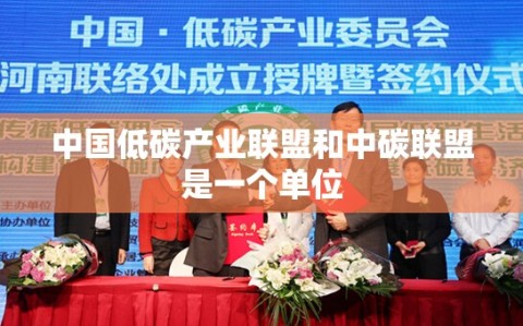 中国低碳产业联盟和中碳联盟是一个单位