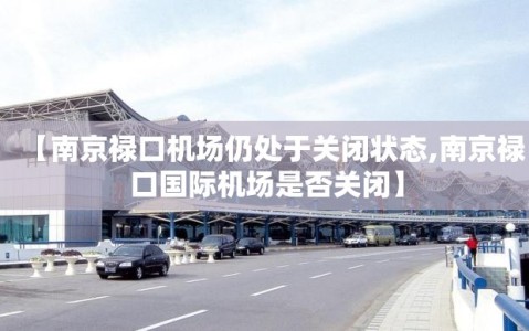 【南京禄口机场仍处于关闭状态,南京禄口国际机场是否关闭】