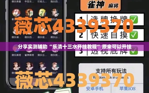 分享实测辅助“乐清十三水开挂教程”原来可以开挂