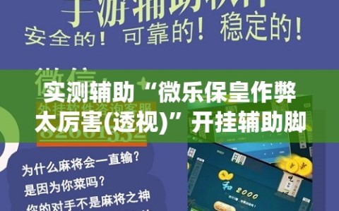 实测辅助“微乐保皇作弊太厉害(透视)”开挂辅助脚本+详细开挂安装教程