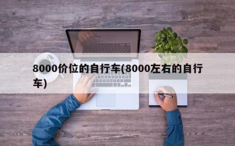 8000价位的自行车(8000左右的自行车)