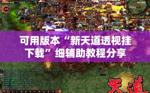 可用版本“新天道透视挂下载”细辅助教程分享