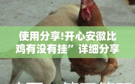 使用分享!开心安徽比鸡有没有挂”详细分享装挂步骤
