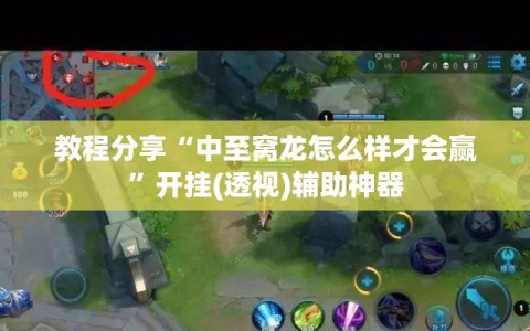 教程分享“中至窝龙怎么样才会赢”开挂(透视)辅助神器