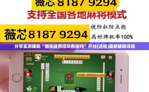 分享实测辅助“微乐陕西挖坑有挂吗”开挂(透视)最新辅助详细