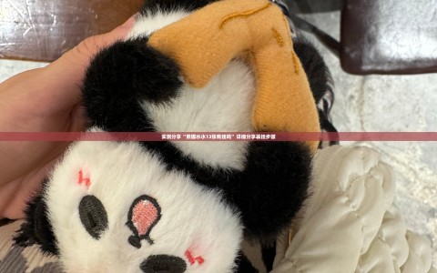 实测分享“熊猫水水13张有挂吗”详细分享装挂步骤