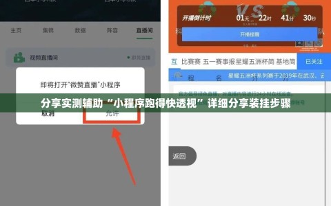 分享实测辅助“小程序跑得快透视”详细分享装挂步骤