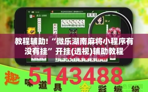 教程辅助!“微乐湖南麻将小程序有没有挂”开挂(透视)辅助教程