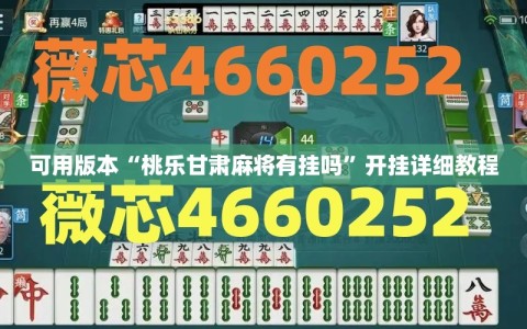 可用版本“桃乐甘肃麻将有挂吗”开挂详细教程