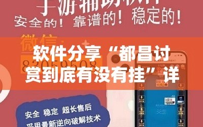 软件分享“都昌讨赏到底有没有挂”详细外挂透视辅助软件教程