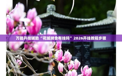 万能开挂辅助“花城牌舍有挂吗”2026开挂教程步骤