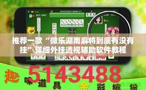 推荐一款“微乐湖南麻将到底有没有挂”详细外挂透视辅助软件教程