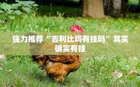 强力推荐“吉利比鸡有挂吗”其实确实有挂