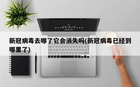 新冠病毒去哪了它会消失吗(新冠病毒已经到哪里了)