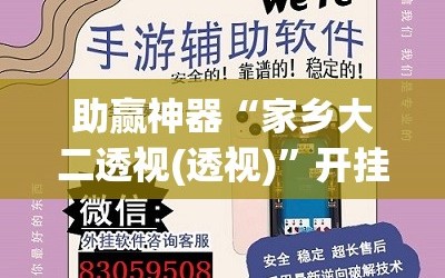 助赢神器“家乡大二透视(透视)”开挂辅助脚本+详细开挂安装教程