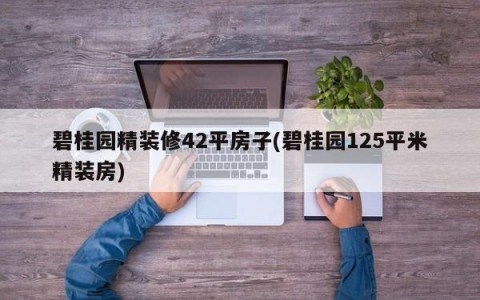 碧桂园精装修42平房子(碧桂园125平米精装房)