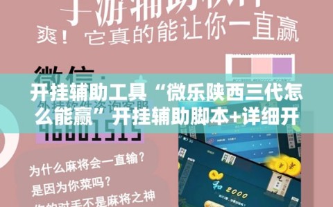 开挂辅助工具“微乐陕西三代怎么能赢”开挂辅助脚本+详细开挂安装教程
