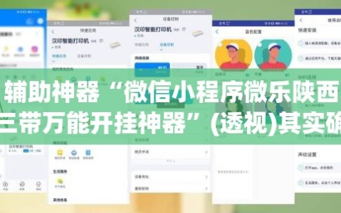 辅助神器“微信小程序微乐陕西三带万能开挂神器”(透视)其实确实有挂