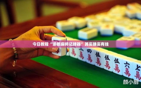 今日教程“渝都麻将记牌器”其实确实有挂