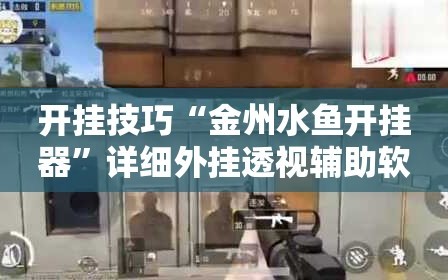 开挂技巧“金州水鱼开挂器”详细外挂透视辅助软件教程