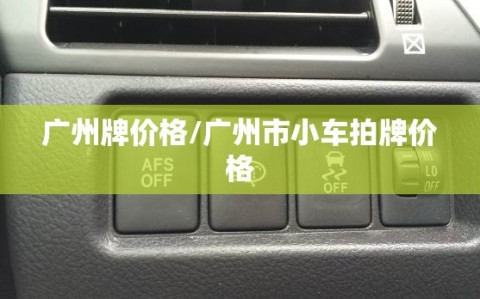 广州牌价格/广州市小车拍牌价格