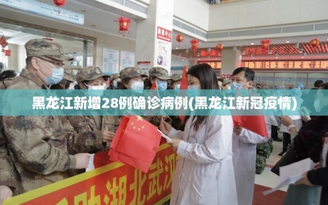 黑龙江新增28例确诊病例(黑龙江新冠疫情)
