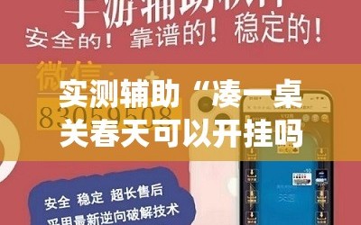 实测辅助“凑一桌关春天可以开挂吗(透视)”开挂辅助脚本+详细开挂安装教程