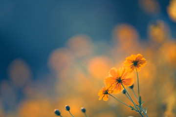 实测分析“微乐宁夏捉麻子必赢神器”其实确实有挂