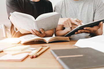 一亩牧草能养多少羊