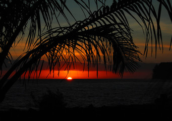 软件分享“九九茶苑有挂吗”分享用挂教程