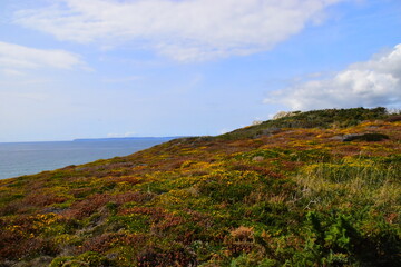 实测分享“天天摸麻将有挂吗”开挂(透视)辅助教程