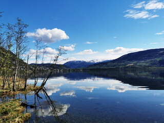 开挂辅助工具“捕鱼大世界刷分的开挂软件”必胜开挂神器