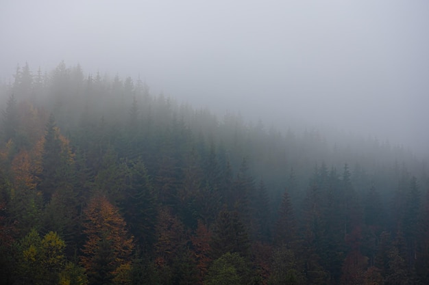 实测分享“雀神广东麻将必胜软件免费”开挂(透视)最新辅助详细教程