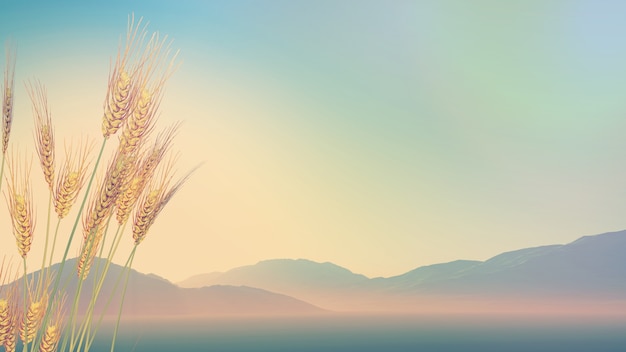 指定教程“乐酷大厅斗牛透视试用”其实确实有挂