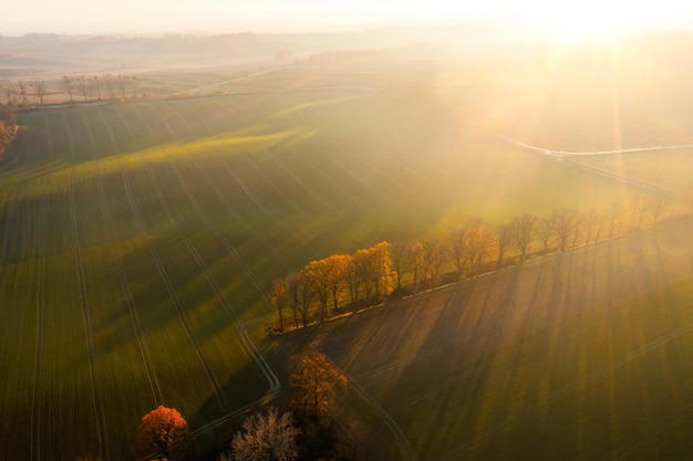 实测分析“渝都麻将记牌器”详细开挂玩法